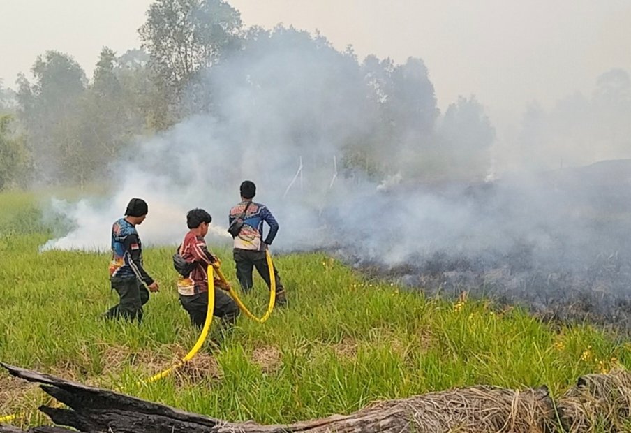 Akses Sulit, Tim Dishut Kalteng Tempuh Tiga Jam untuk Padamkan Karhutla di Tahura Isen Mulang