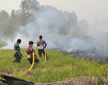 Akses Sulit, Tim Dishut Kalteng Tempuh Tiga Jam untuk Padamkan Karhutla di Tahura Isen Mulang